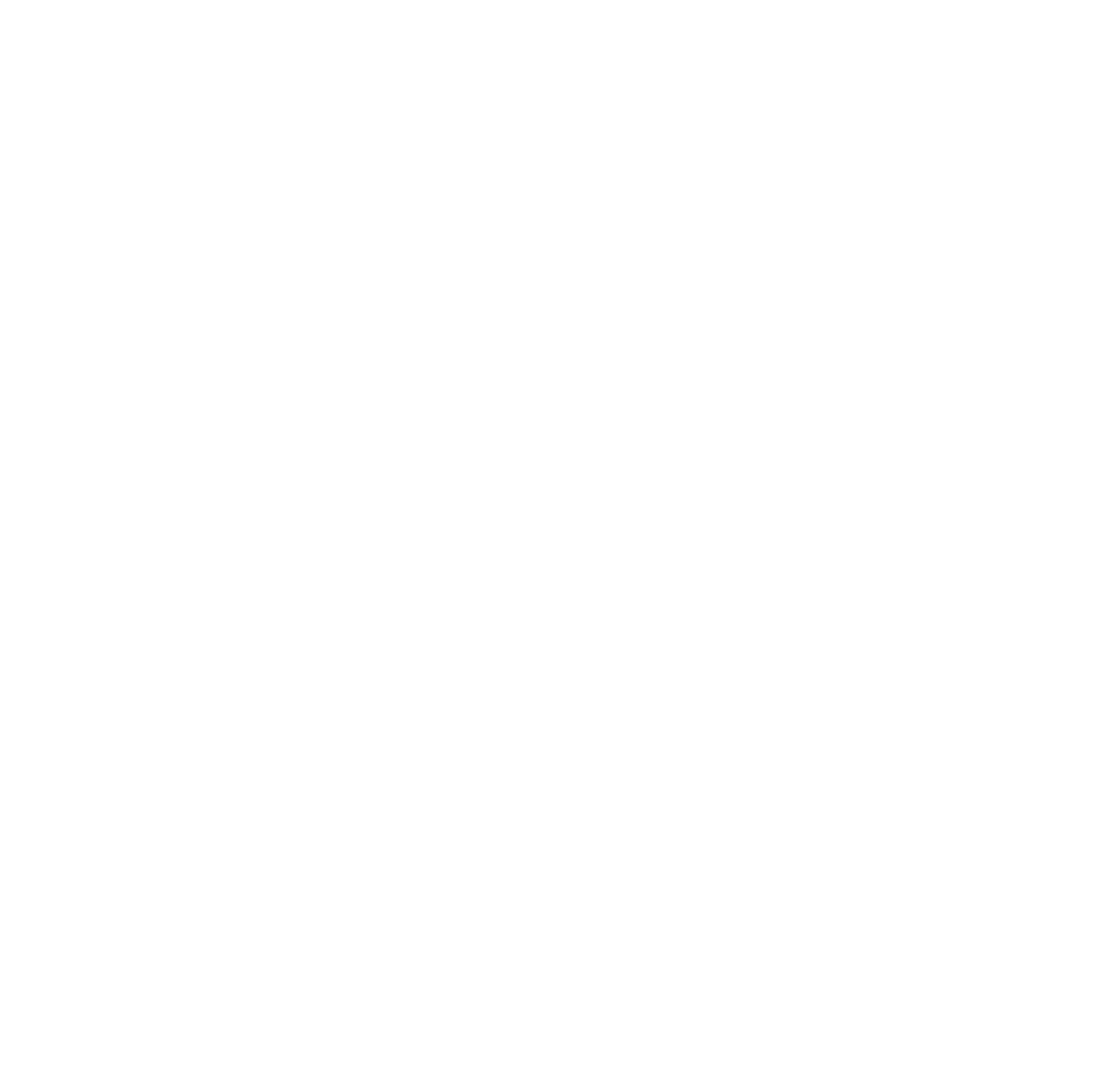 logo blanco 02